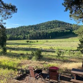 Review photo of San Juan National Forest Williams Creek Campground by Chris P., July 20, 2020