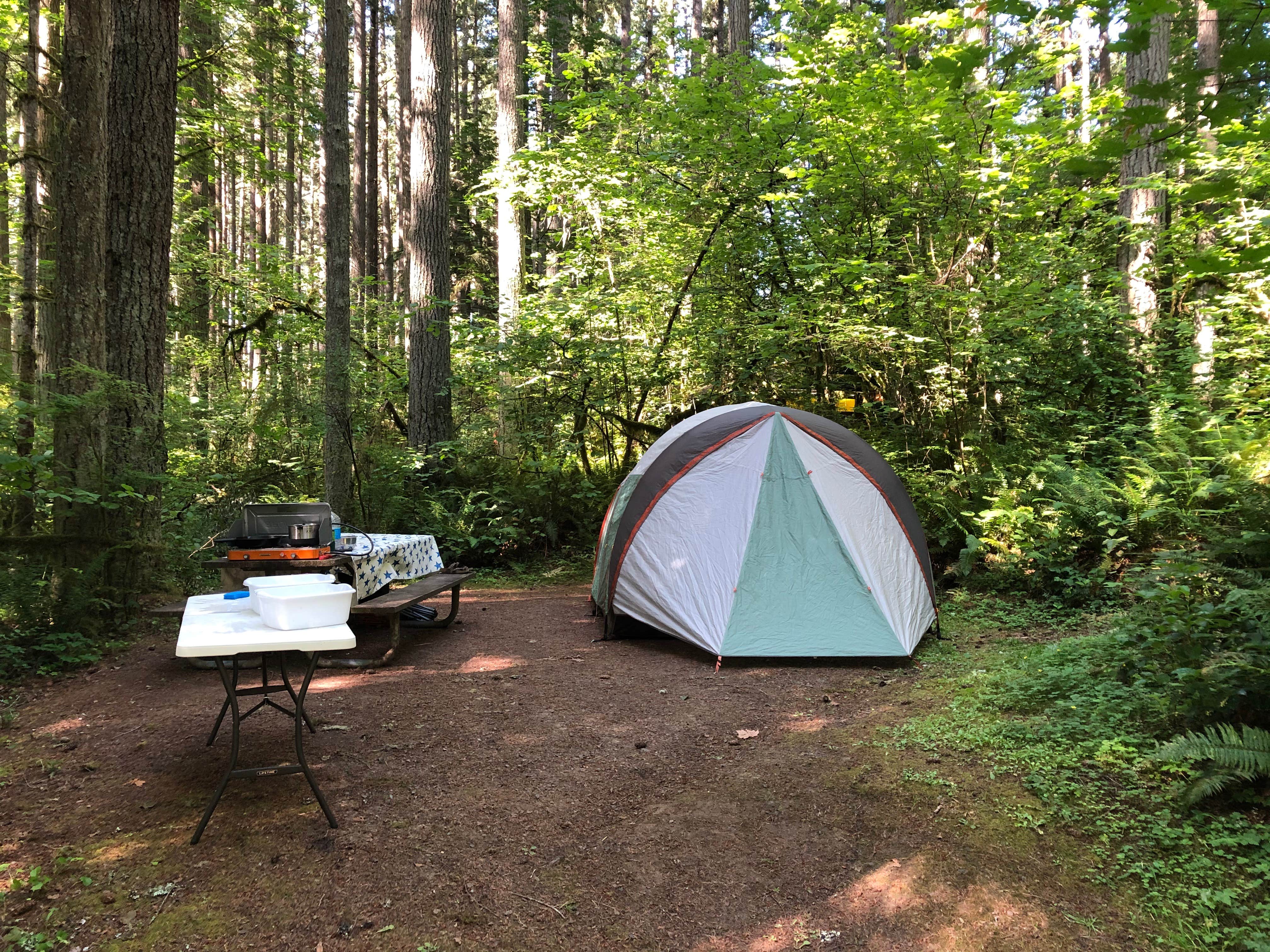Jeff K.'s photo at Seaquest State Park Campground near Clatskanie, OR