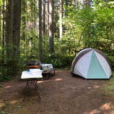 Review photo of Seaquest State Park Campground by Jeff K., July 20, 2020