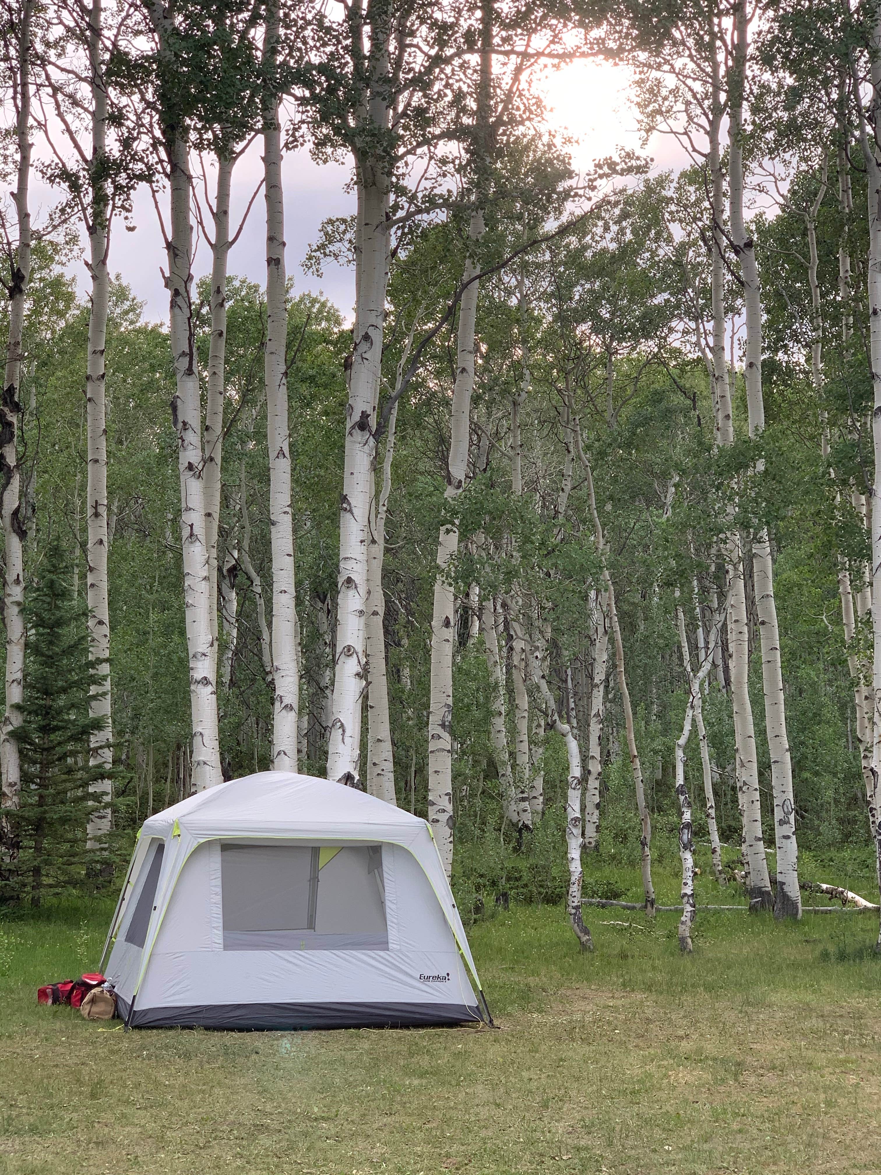 Taylor R.'s photo at Range Study Area - FS Road #217 near Vernal, UT