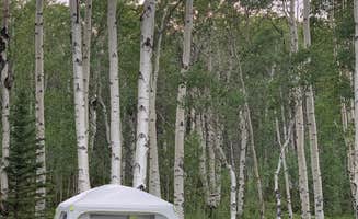 Taylor R.'s photo of a dispersed camping area at Range Study Area - FS Road #217 near Ashley National Forest