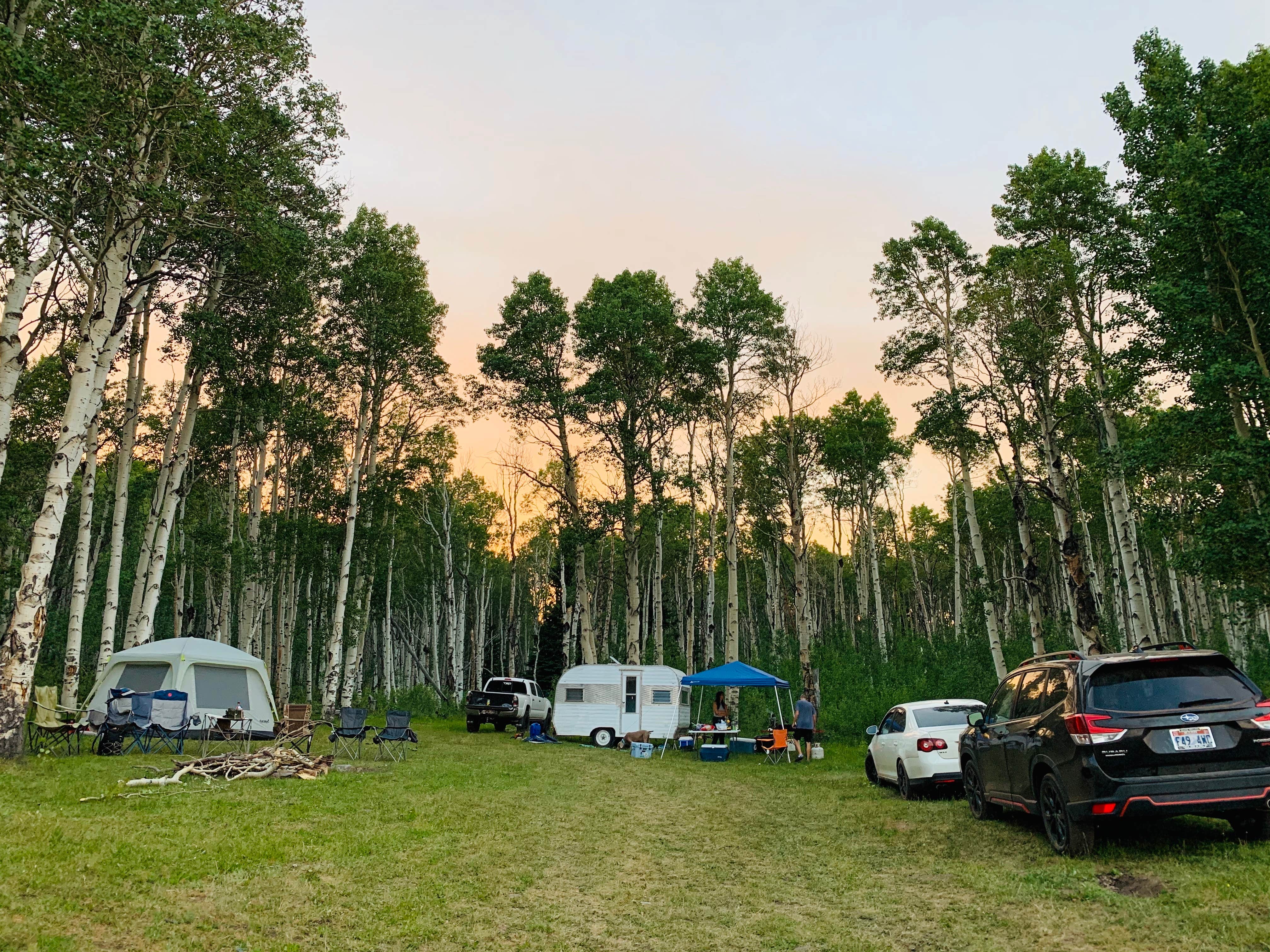Taylor R.'s photo of a dispersed camping area at Range Study Area - FS Road #217 near Dutch John, UT