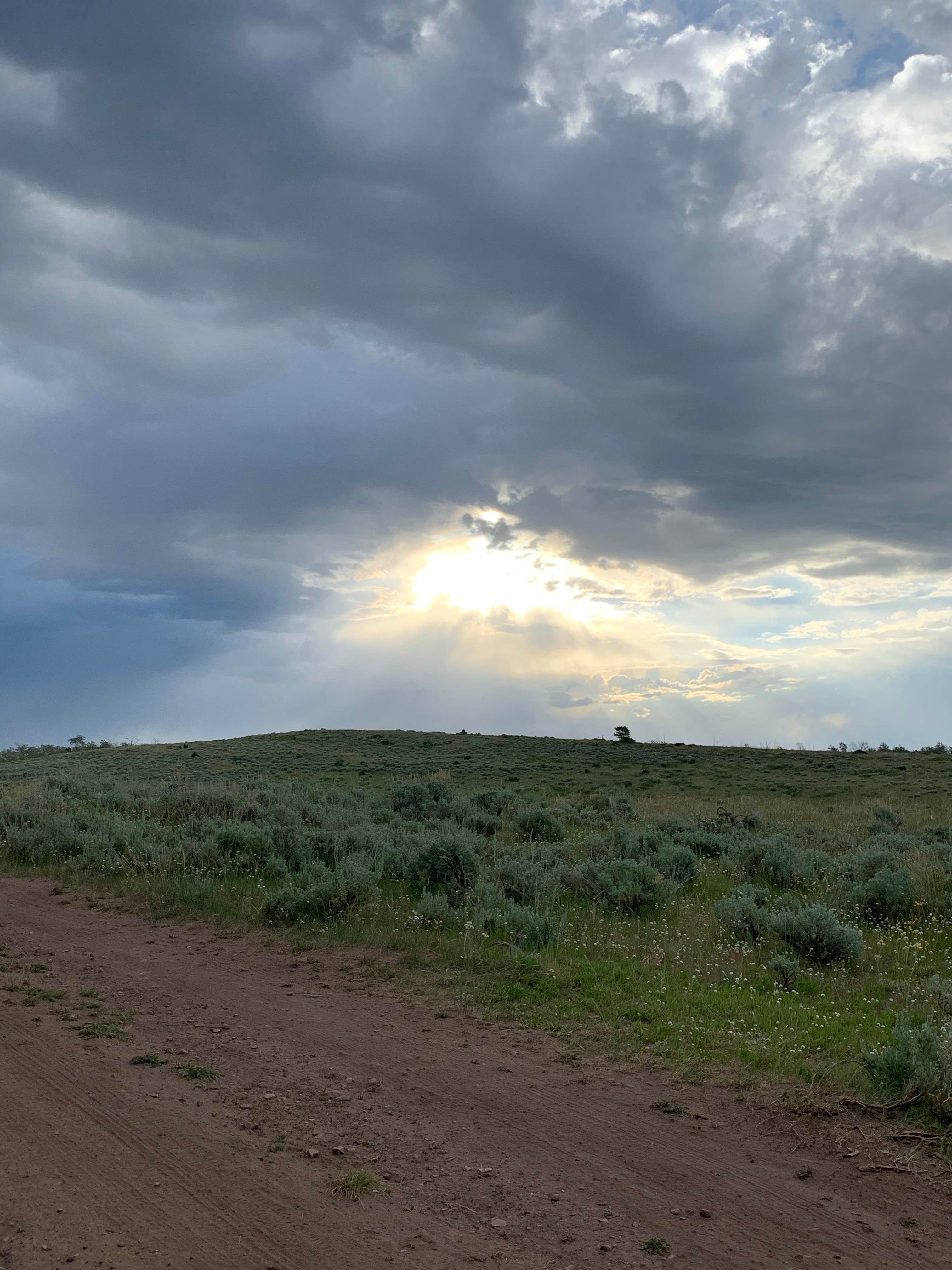 Camper-submitted photo at Range Study Area - FS Road #217 near Flaming Gorge, UT