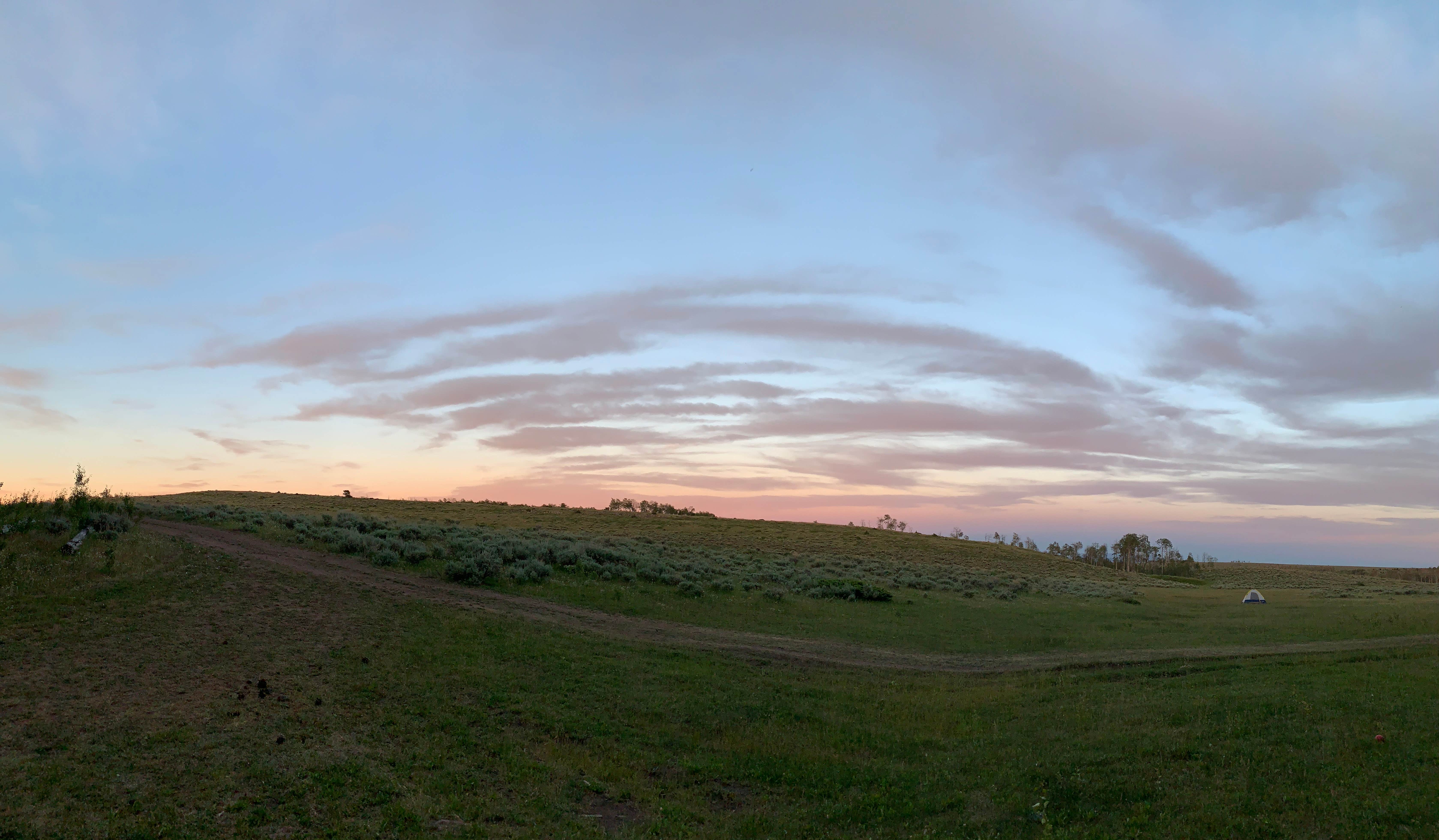 Taylor R.'s photo of a dispersed camping area at Range Study Area - FS Road #217 near Neola, UT
