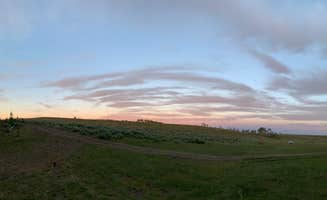 Taylor R.'s photo of a dispersed camping area at Range Study Area - FS Road #217 near Vernal, UT
