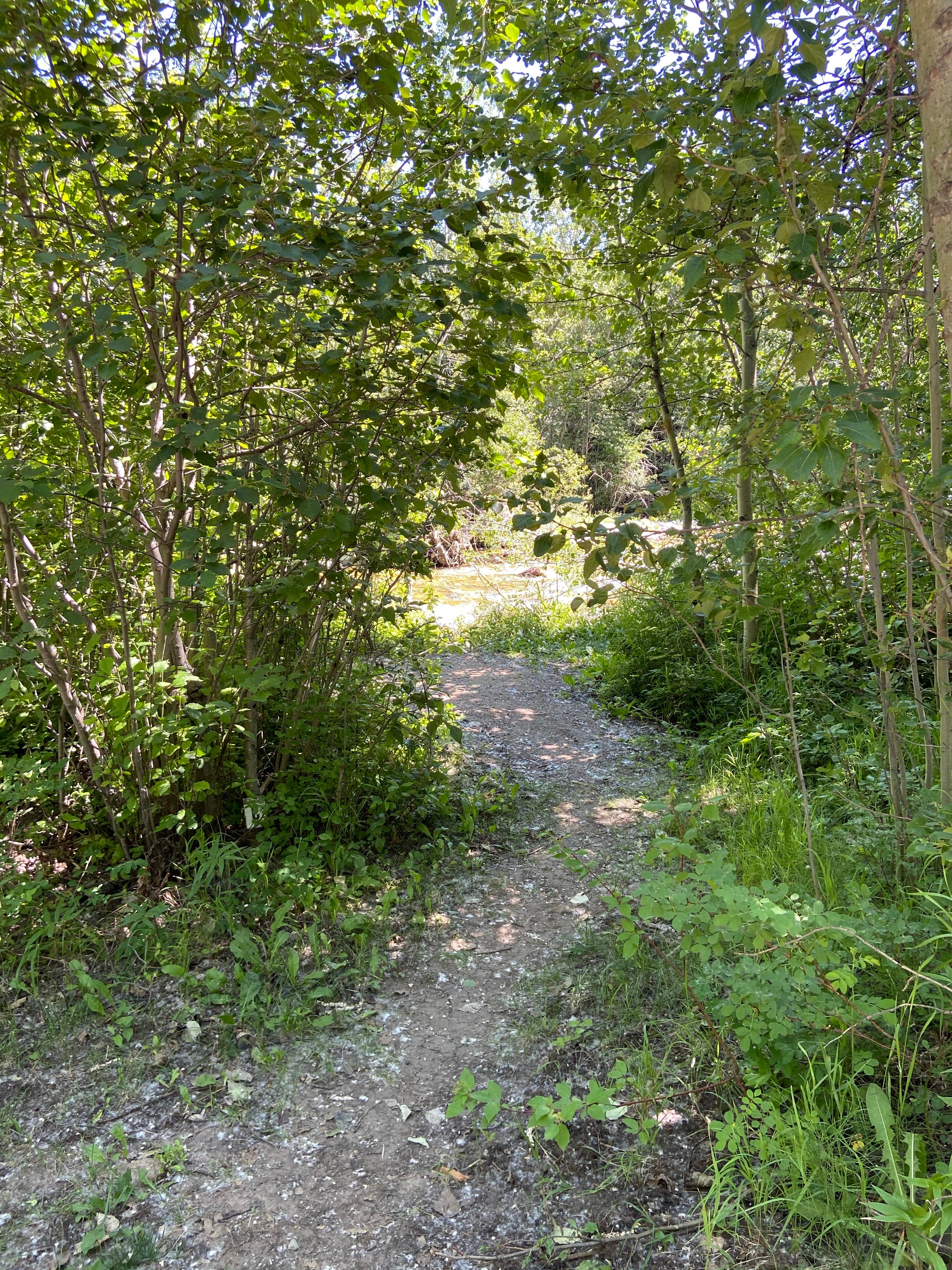 Camper-submitted photo at Perry's RV and Campgrounds near Cowley, WY