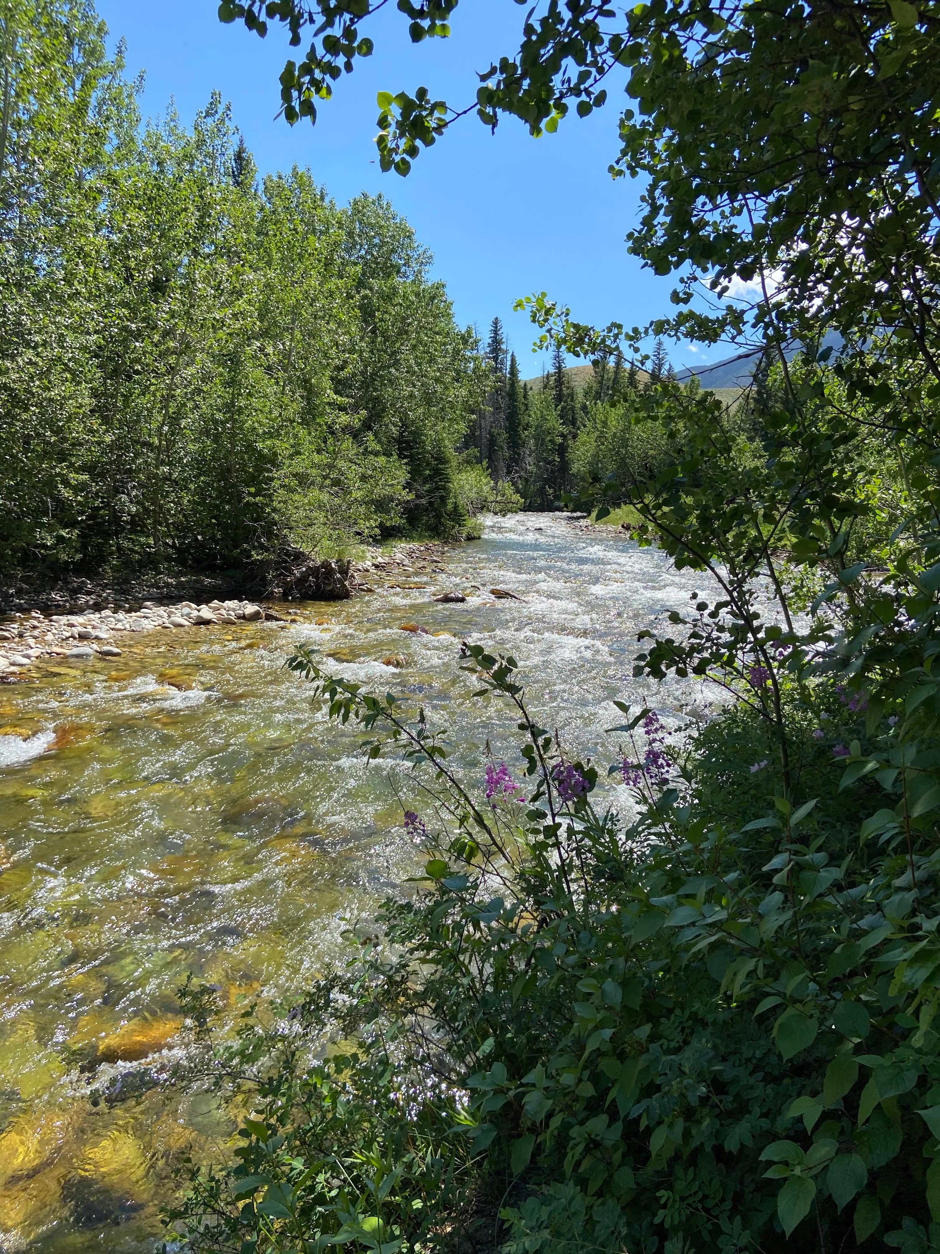 Camper-submitted photo at Perry's RV and Campgrounds near Cowley, WY
