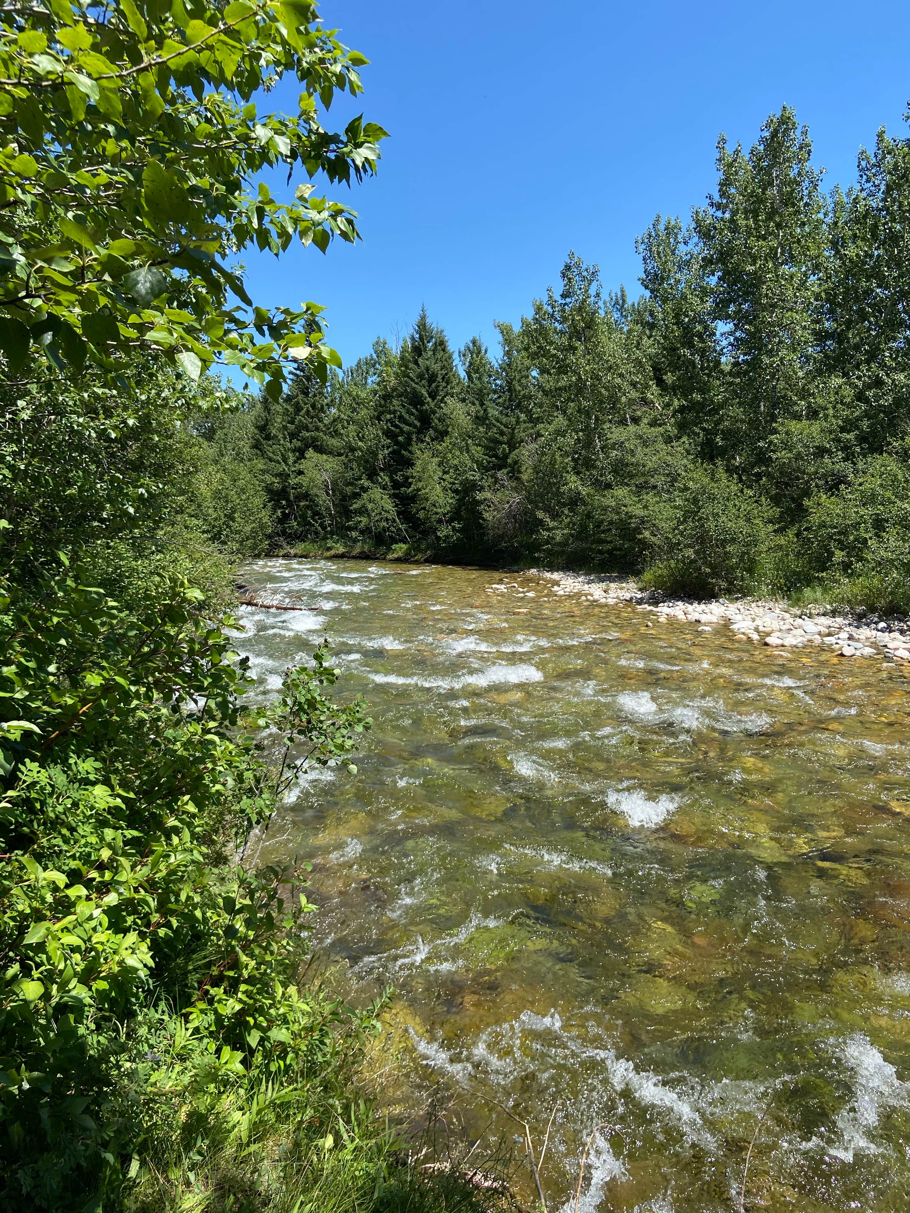 Nature