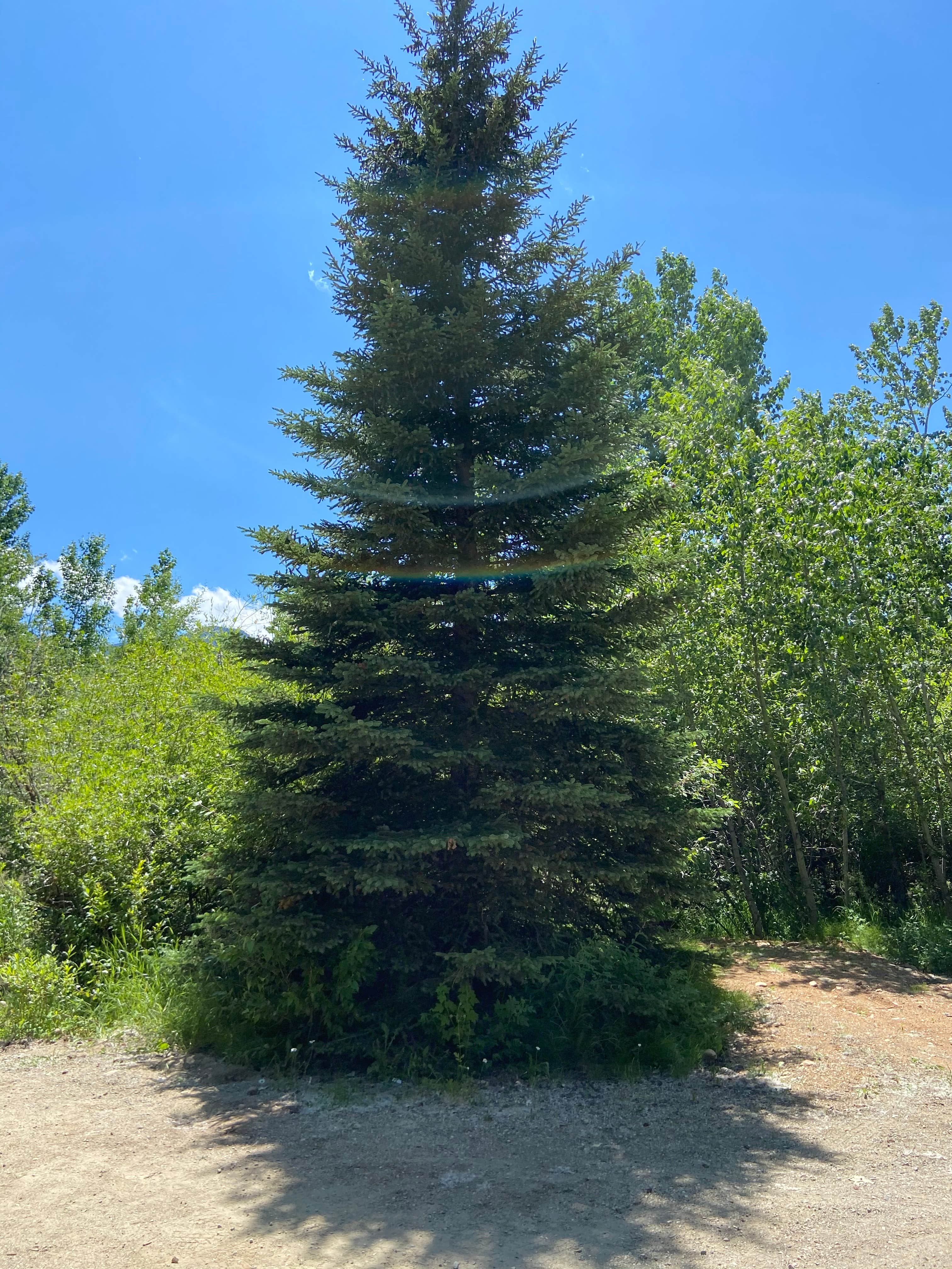 Camper-submitted photo at Perry's RV and Campgrounds near Cowley, WY