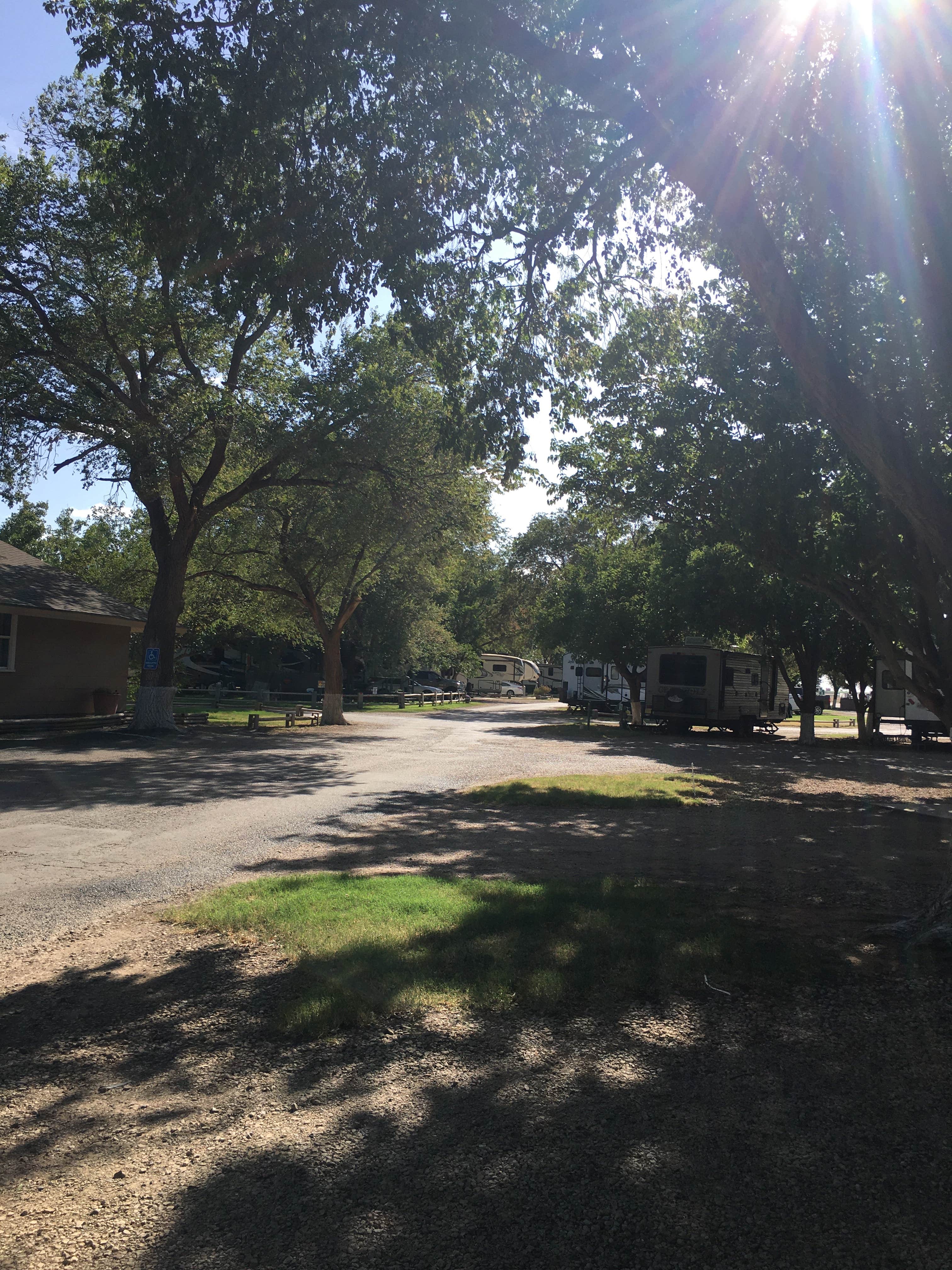 Camper submitted image from Lubbock RV Park - 4