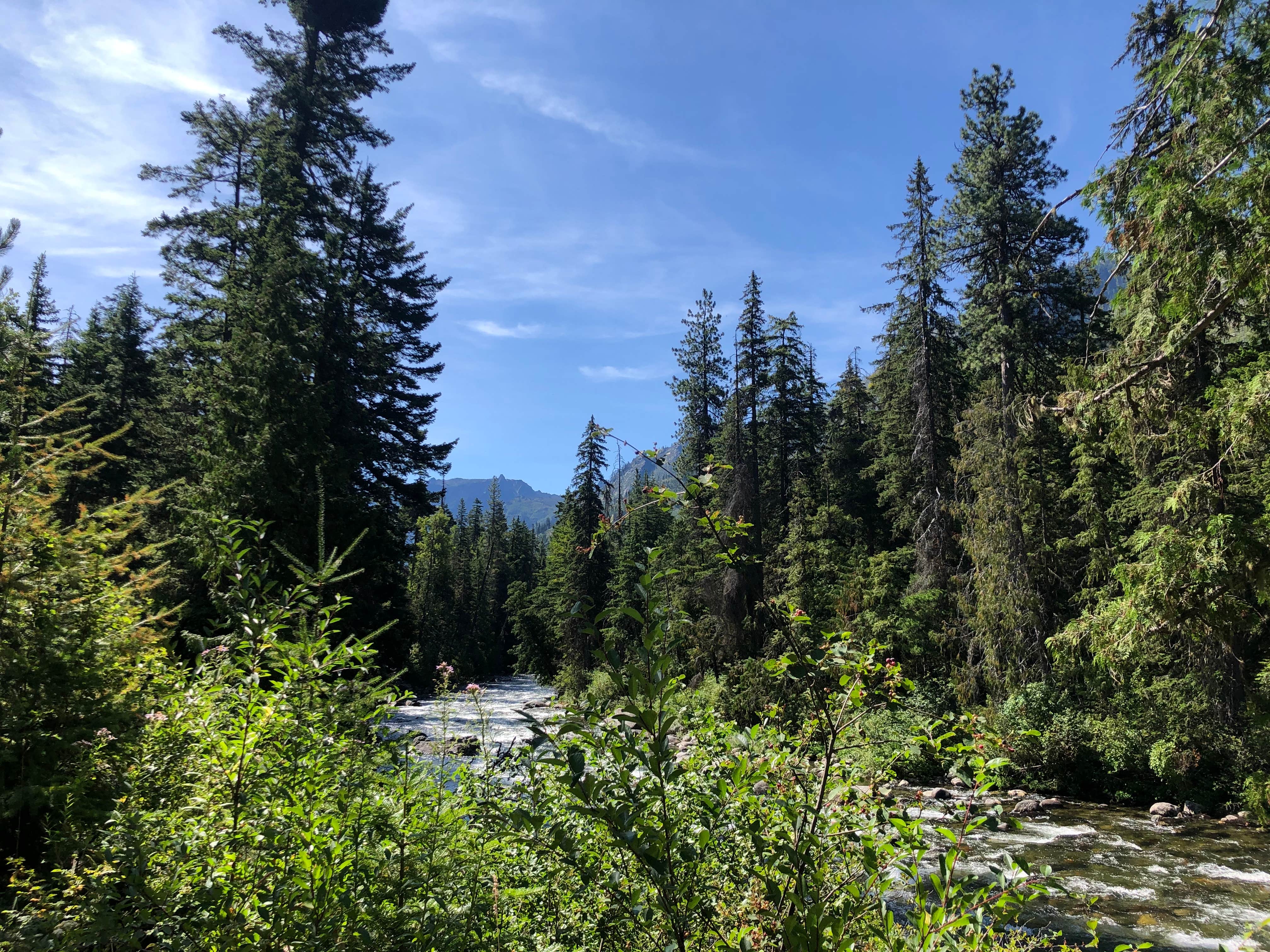 Camper-submitted photo at Johnny Creek Campground near Leavenworth, WA