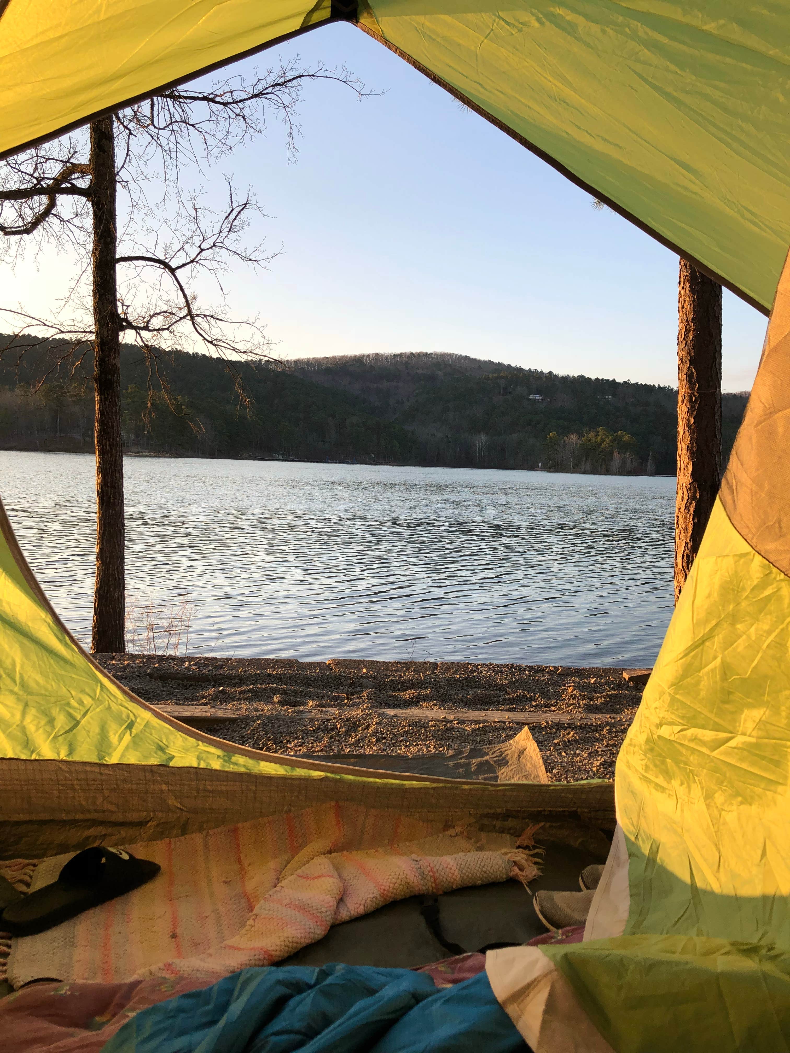 Camper submitted image from Lake Ouachita State Park Campground - 5