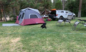 Chris K.'s photo at Hat Creek Hereford Ranch RV Park & Campground near Cassel, CA