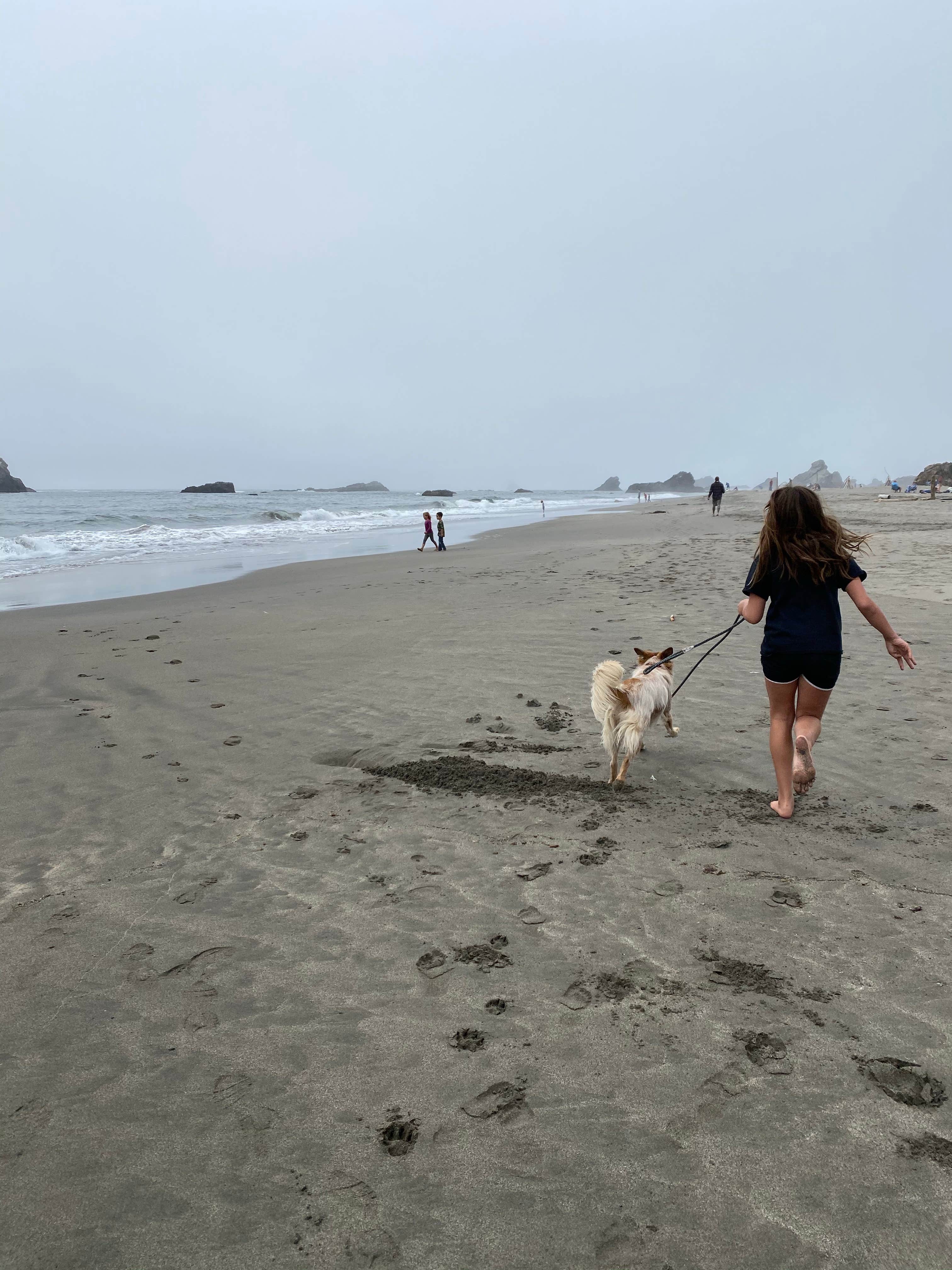 Vanessa M.'s photo of camping with pets at Harris Beach State Park Campground near Smith River, CA