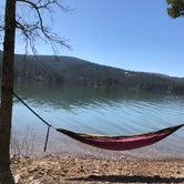 Review photo of Lake Ouachita State Park Campground by Cate S., March 16, 2018