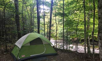 Camping near Singing Wood Farm : Brewster River Campground, Jeffersonville, Vermont