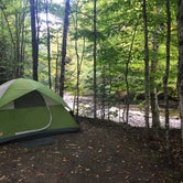 Review photo of Brewster River Campground by K M., July 21, 2020