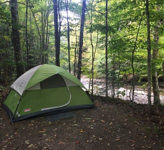 Camper-submitted photo from Brewster River Campground