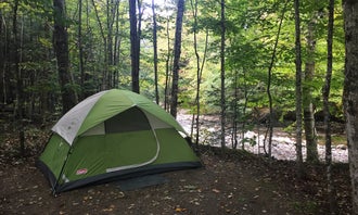 Brewster River Campground