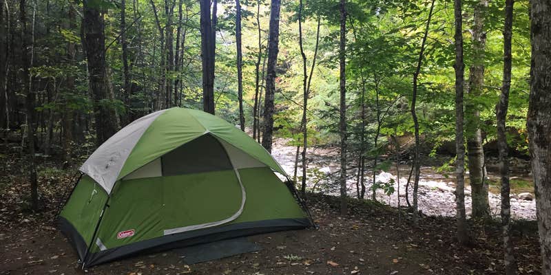 Camper submitted image from Brewster River Campground