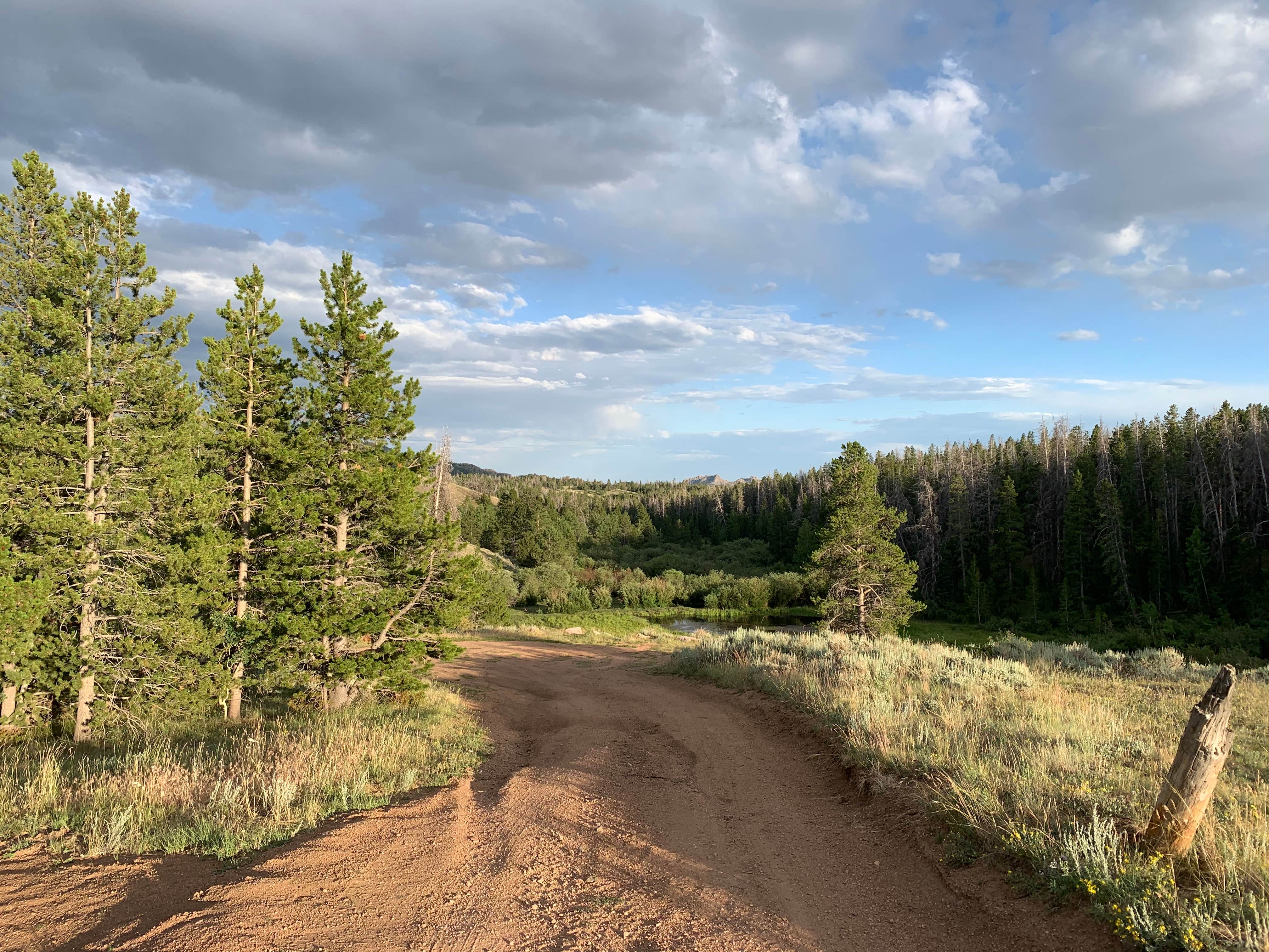 Camper-submitted photo at Pole Mountain Dispersed Camping near Buford, WY