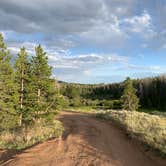 Review photo of Pole Mountain Dispersed Camping by Allison B., July 21, 2020