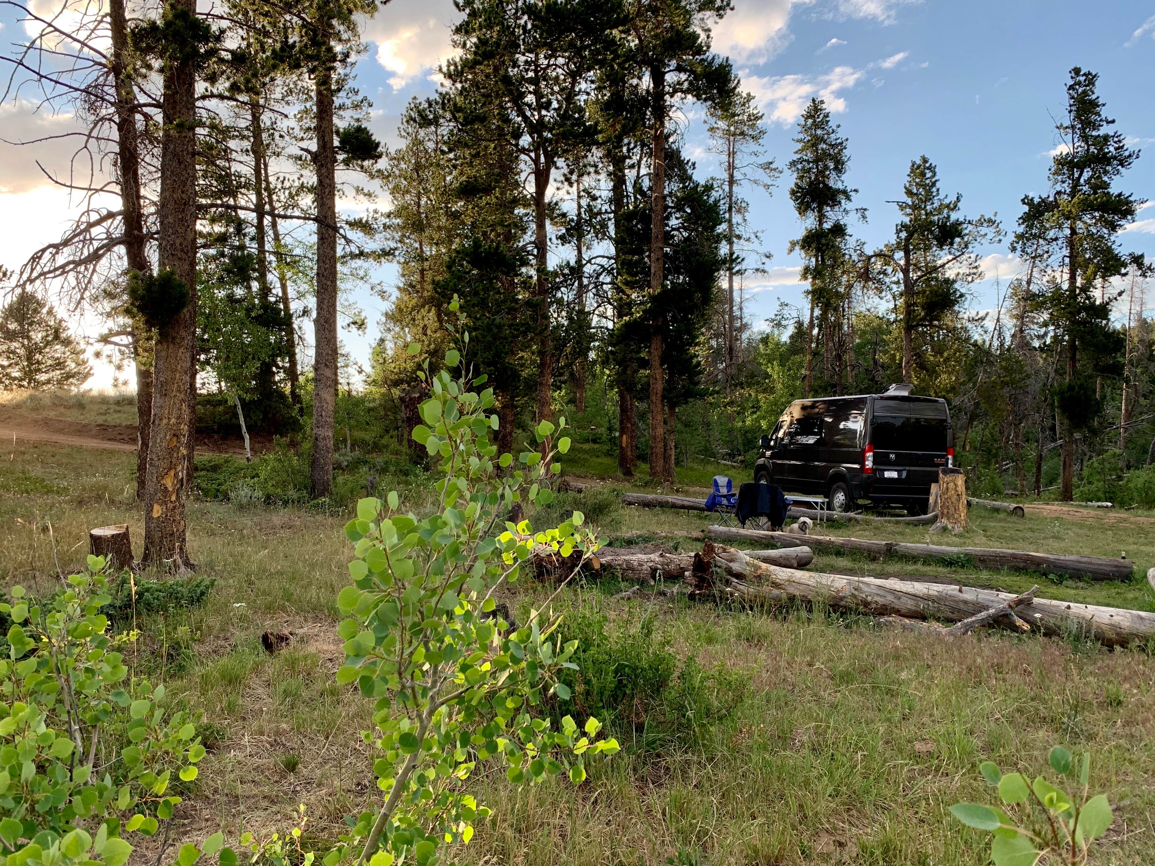 Allison B.'s photo at Pole Mountain Dispersed Camping near Laramie, WY