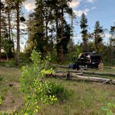 Review photo of Pole Mountain Dispersed Camping by Allison B., July 21, 2020