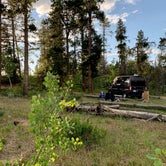 Review photo of Pole Mountain Dispersed Camping by Allison B., July 21, 2020