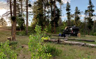 Allison B.'s photo at Pole Mountain Dispersed Camping near Cheyenne, WY
