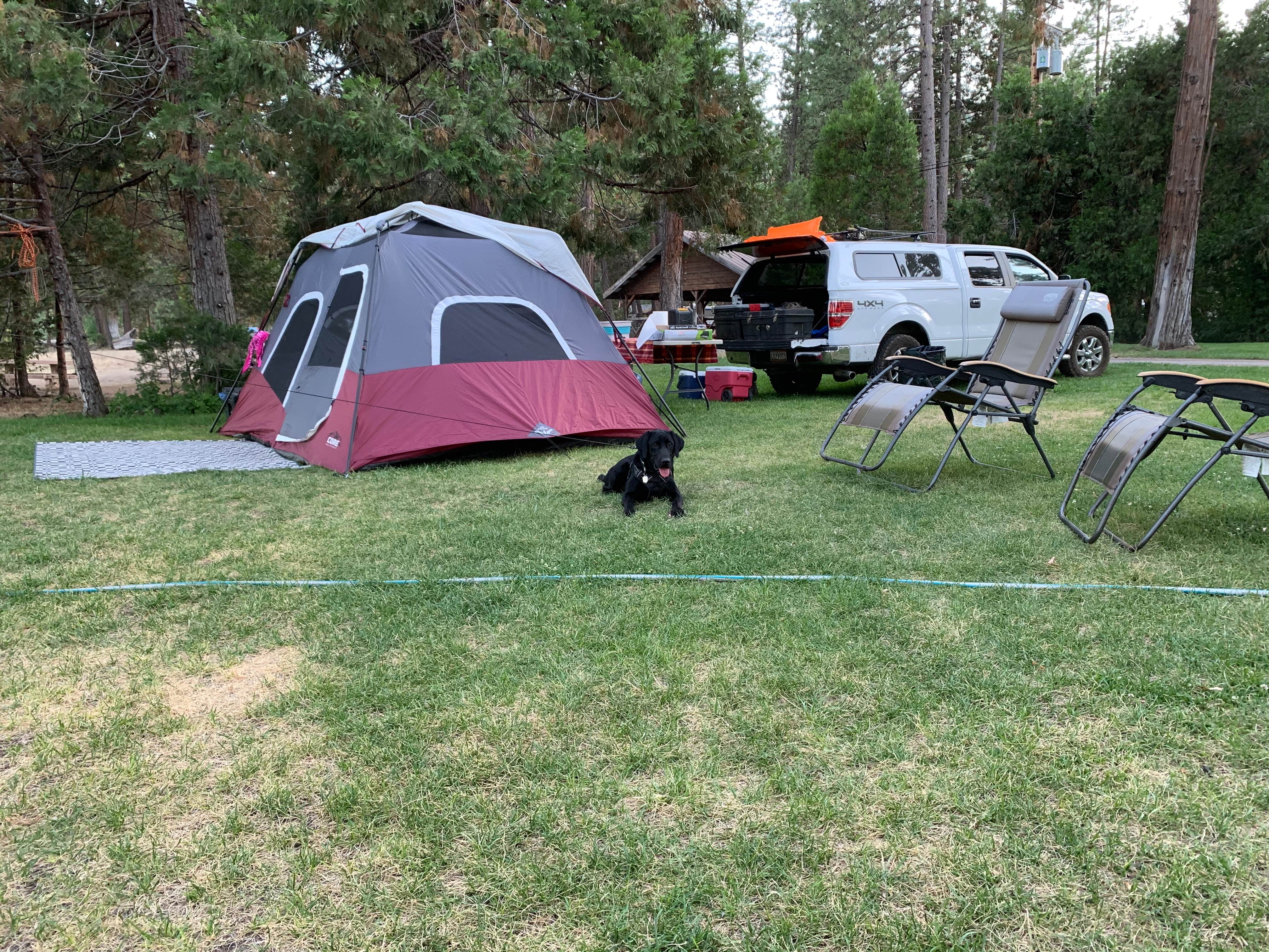 Camper-submitted photo at Hat Creek Hereford Ranch RV Park & Campground near Lassen Volcanic National Park