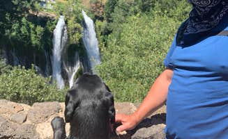 Chris K.'s photo of camping with pets at Hat Creek Hereford Ranch RV Park & Campground near Mill Creek, CA