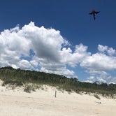 Review photo of Myrtle Beach State Park Campground by Kevin E., July 21, 2020