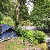 Review photo of Lyre River Campground by Lillie P., July 13, 2020