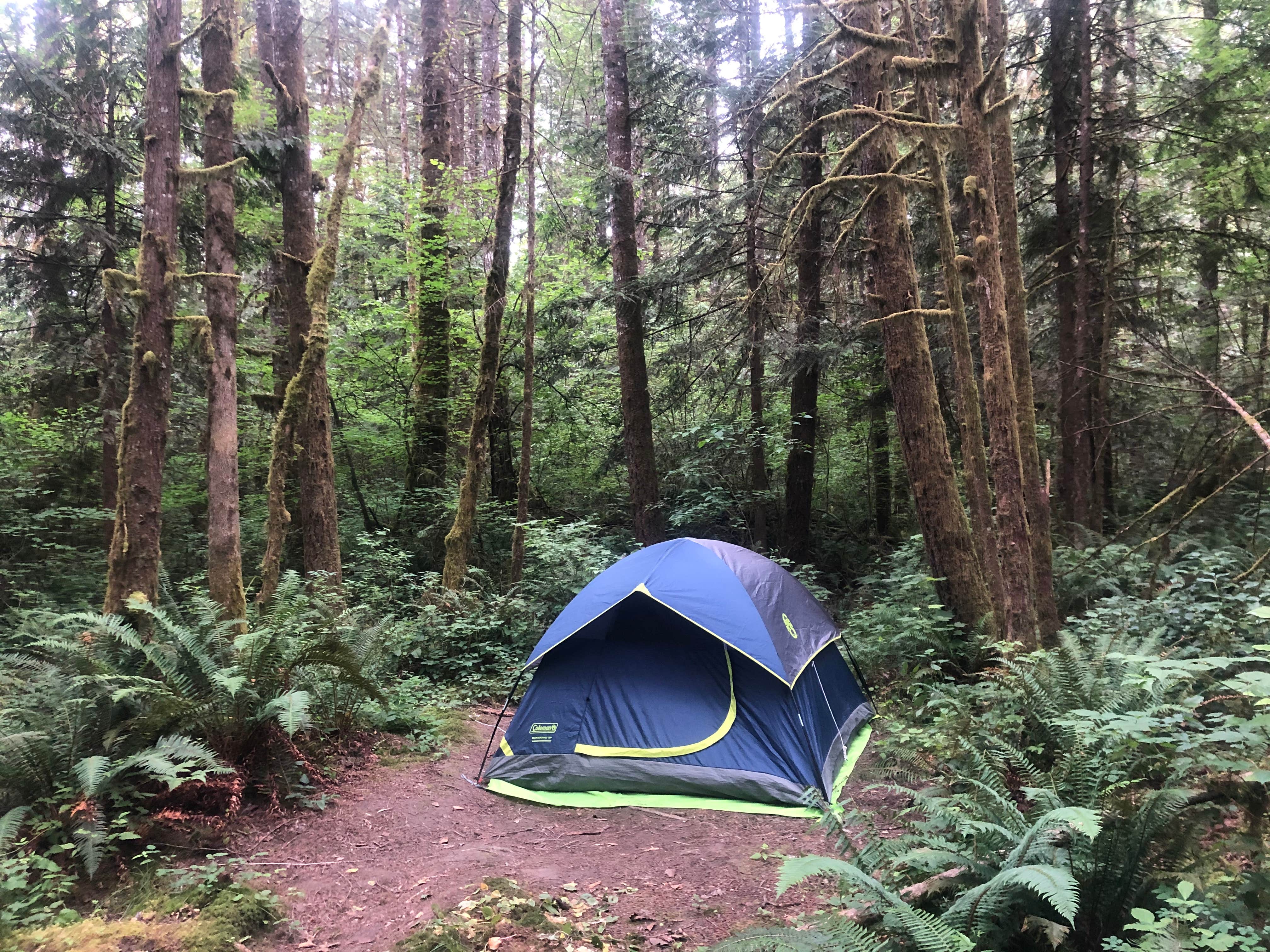 Lillie P.'s photo at Lewis & Clark State Park Campground near Toledo, WA