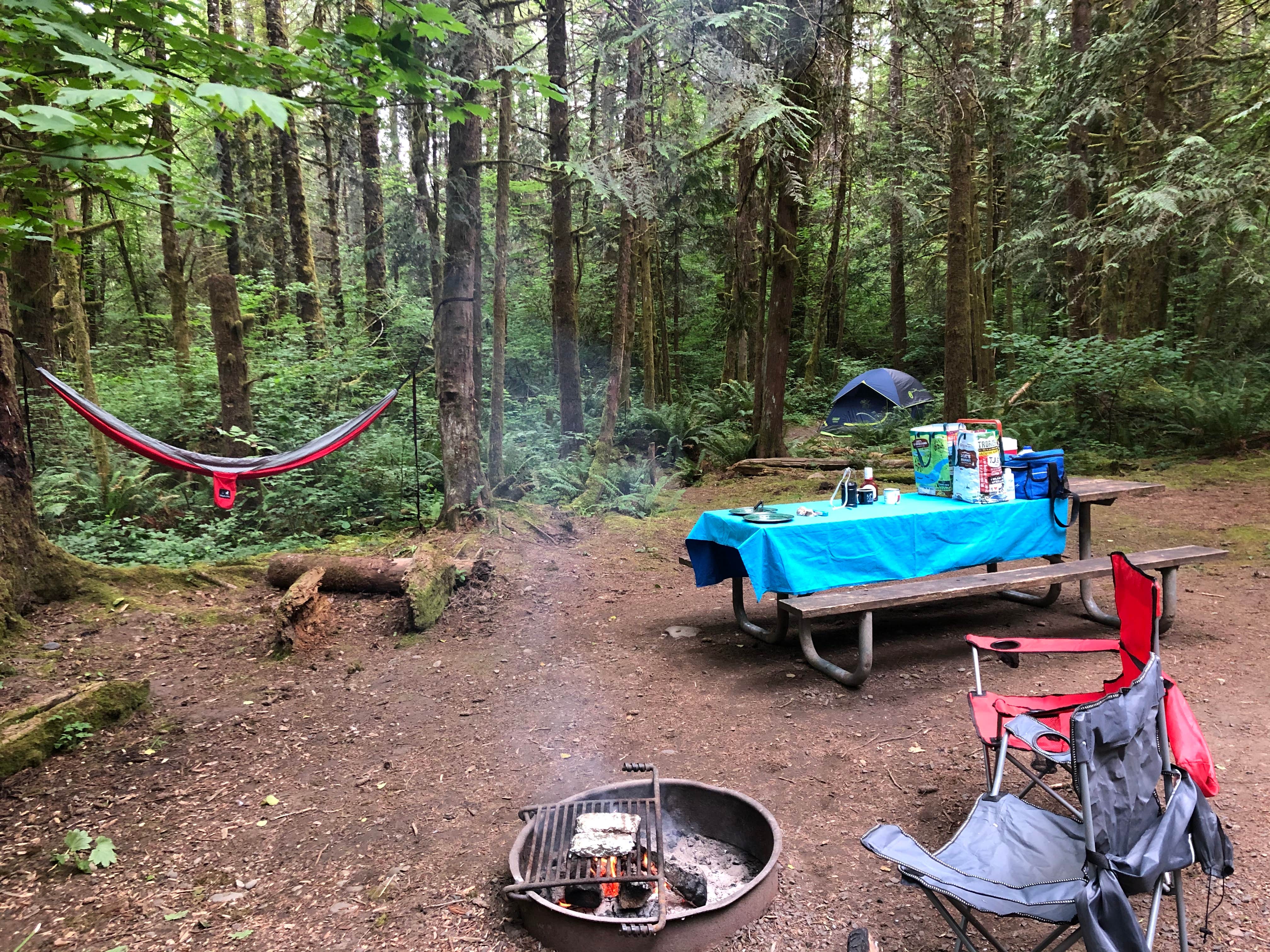 Lillie P.'s photo at Lewis & Clark State Park Campground near Castle Rock, WA