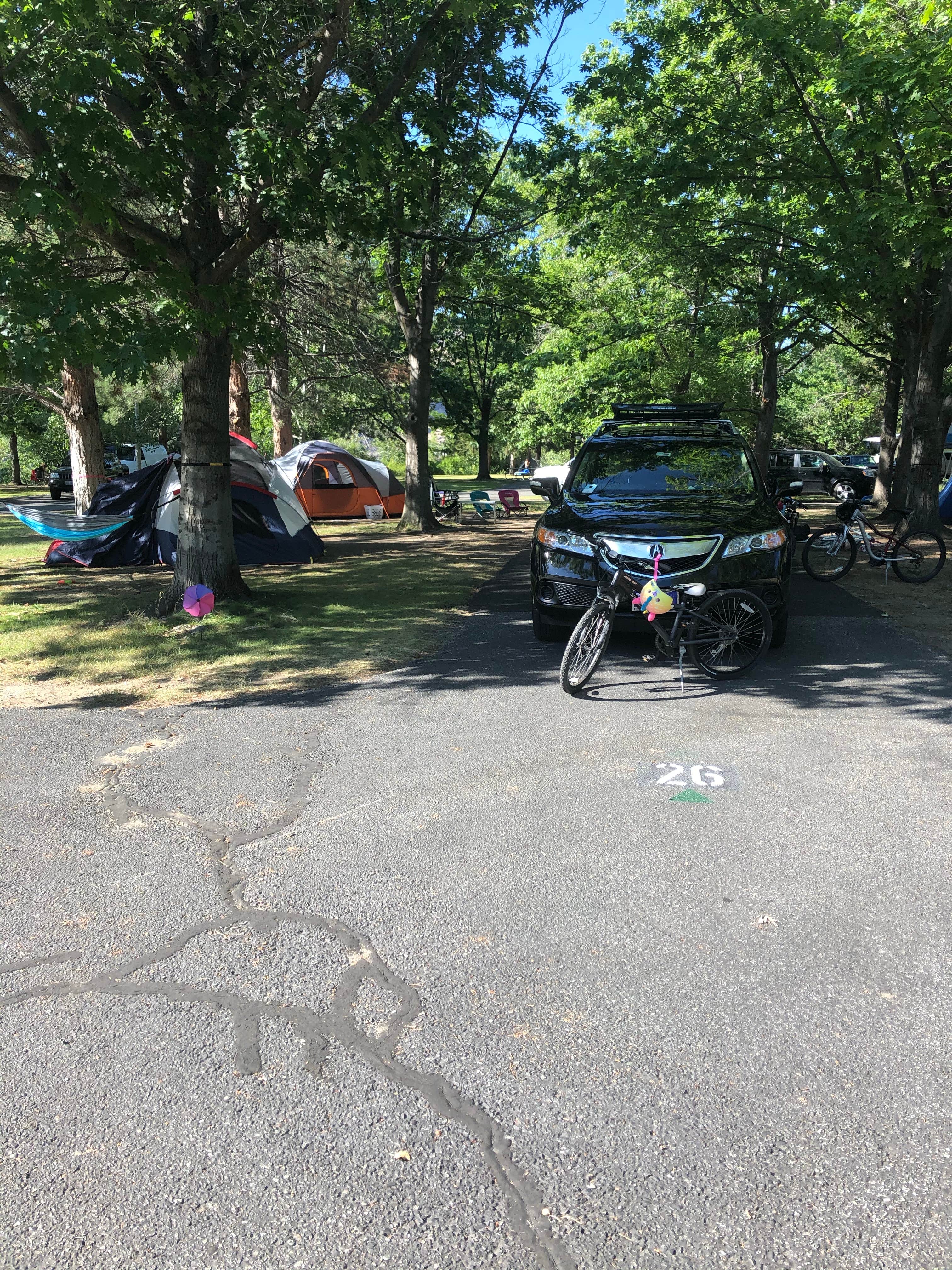 Cinco D.'s photo at Lincoln Rock State Park Campground near Waterville, WA