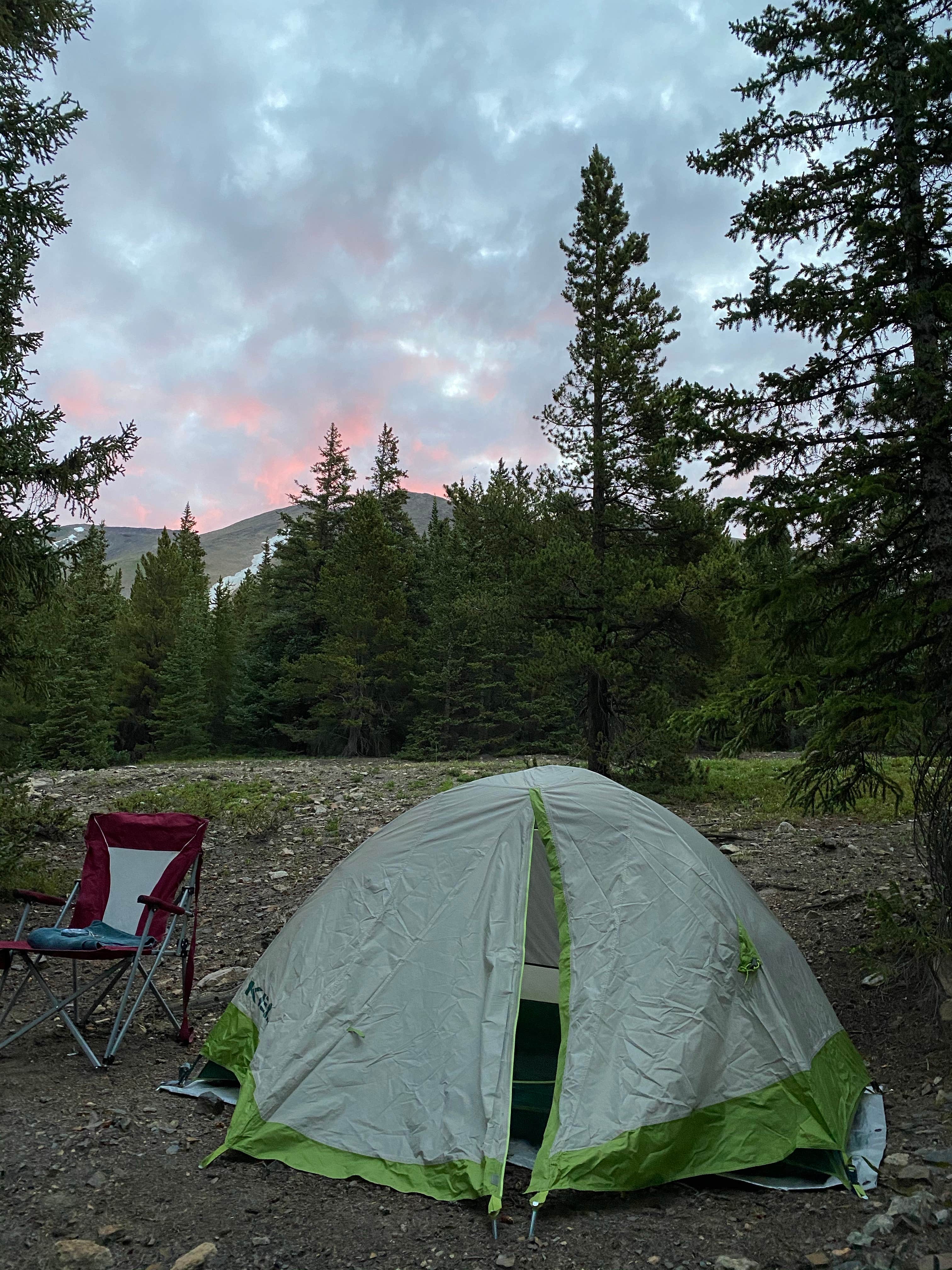 Camper submitted image from Boreas Pass Road Designated Dispersed Camping - 5
