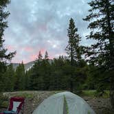 Review photo of Boreas Pass Road Designated Dispersed Camping by Aimee K., July 21, 2020