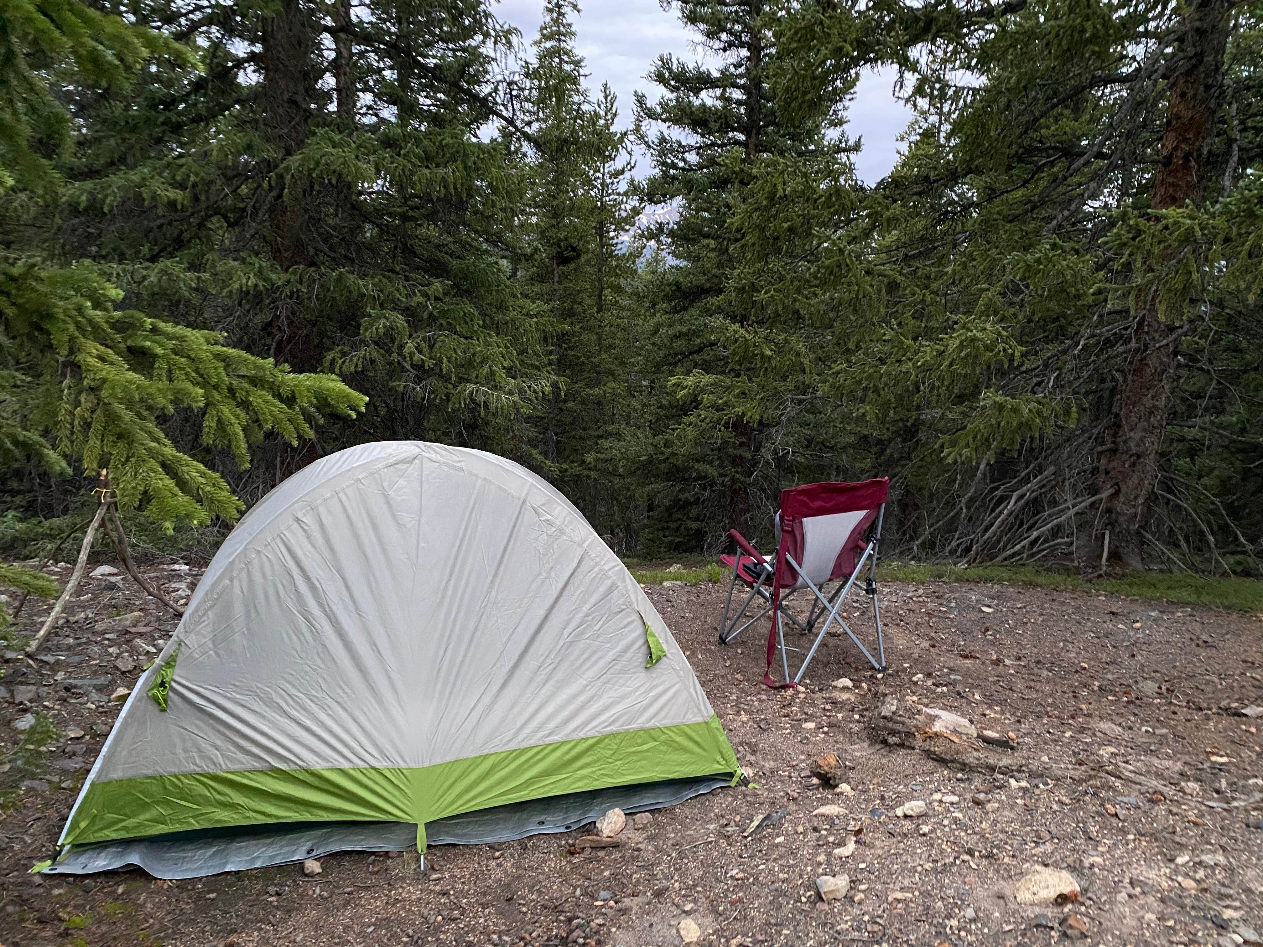 Aimee K.'s photo of tent camping at Boreas Pass Road Designated Dispersed Camping near Montezuma, CO