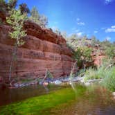 Review photo of Clear Creek Area Dispersed — Grand Canyon National Park by Jenn L., July 21, 2020