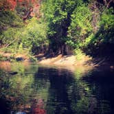 Review photo of Clear Creek Area Dispersed — Grand Canyon National Park by Jenn L., July 21, 2020