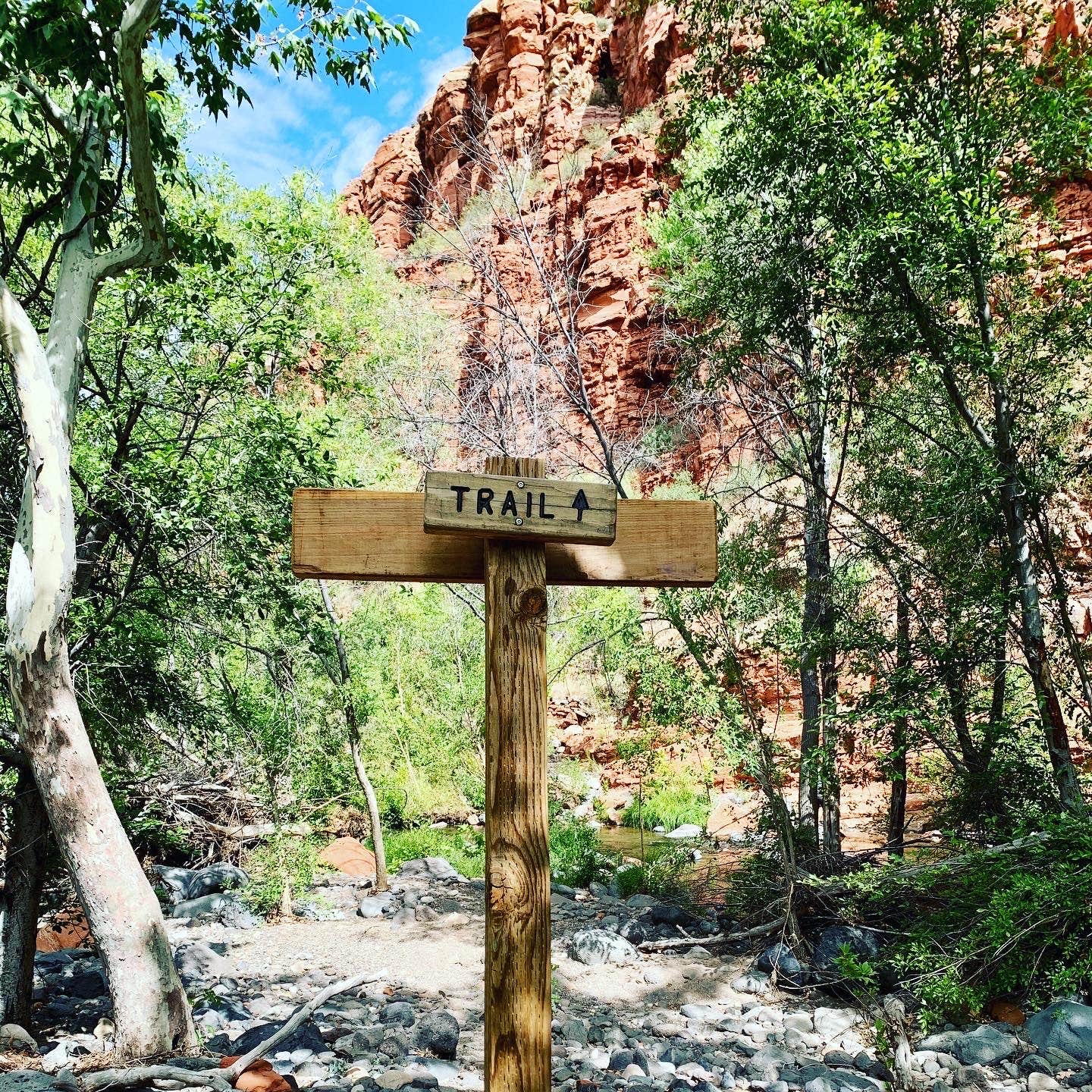 Camper submitted image from Clear Creek Area Dispersed — Grand Canyon National Park - 3