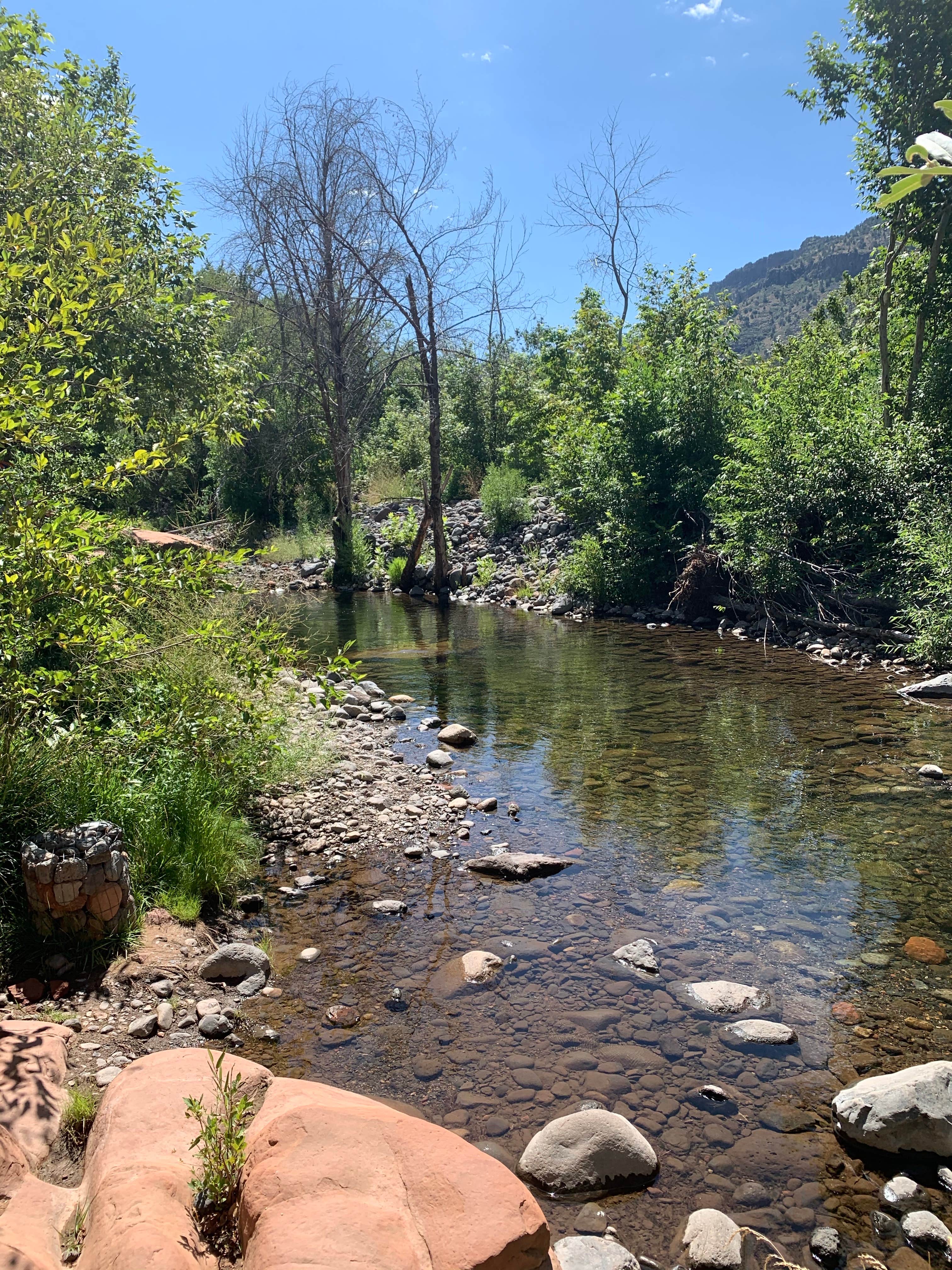 Camper-submitted photo at Clear Creek Area Dispersed — Grand Canyon National Park near Cameron, AZ