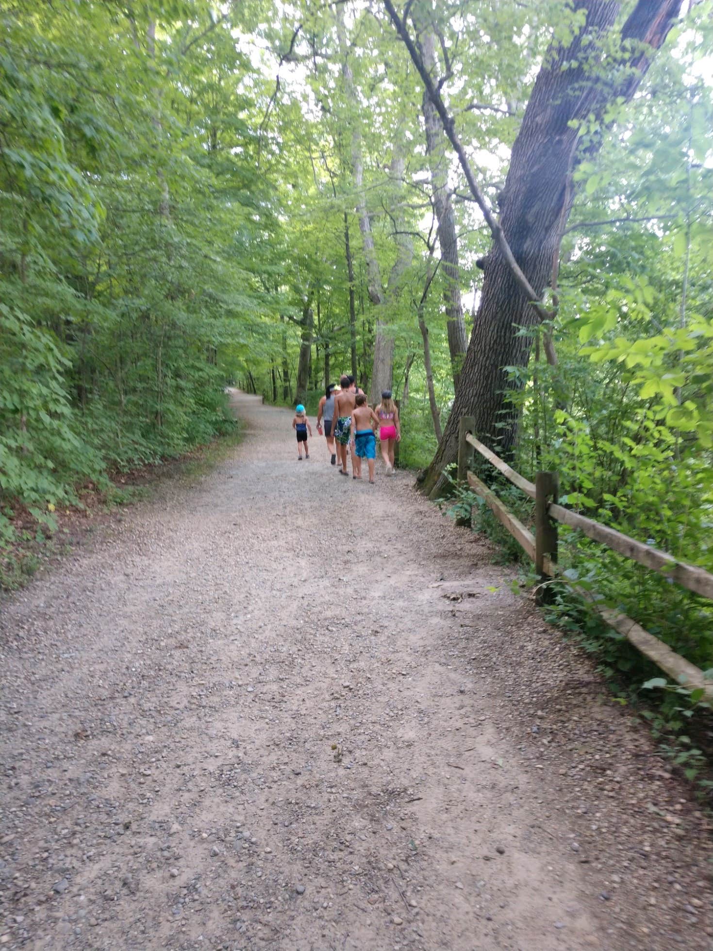 Camper submitted image from Mounds State Park Campground - 3