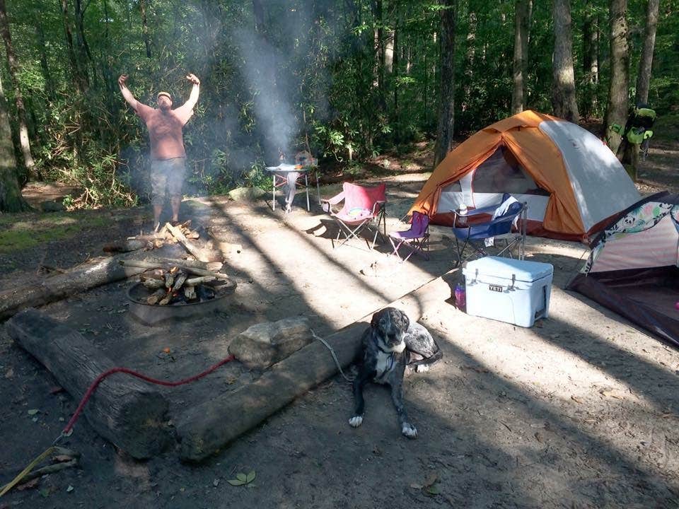 Laura C.'s photo at Jones Gap State Park Campground near Taylors, SC