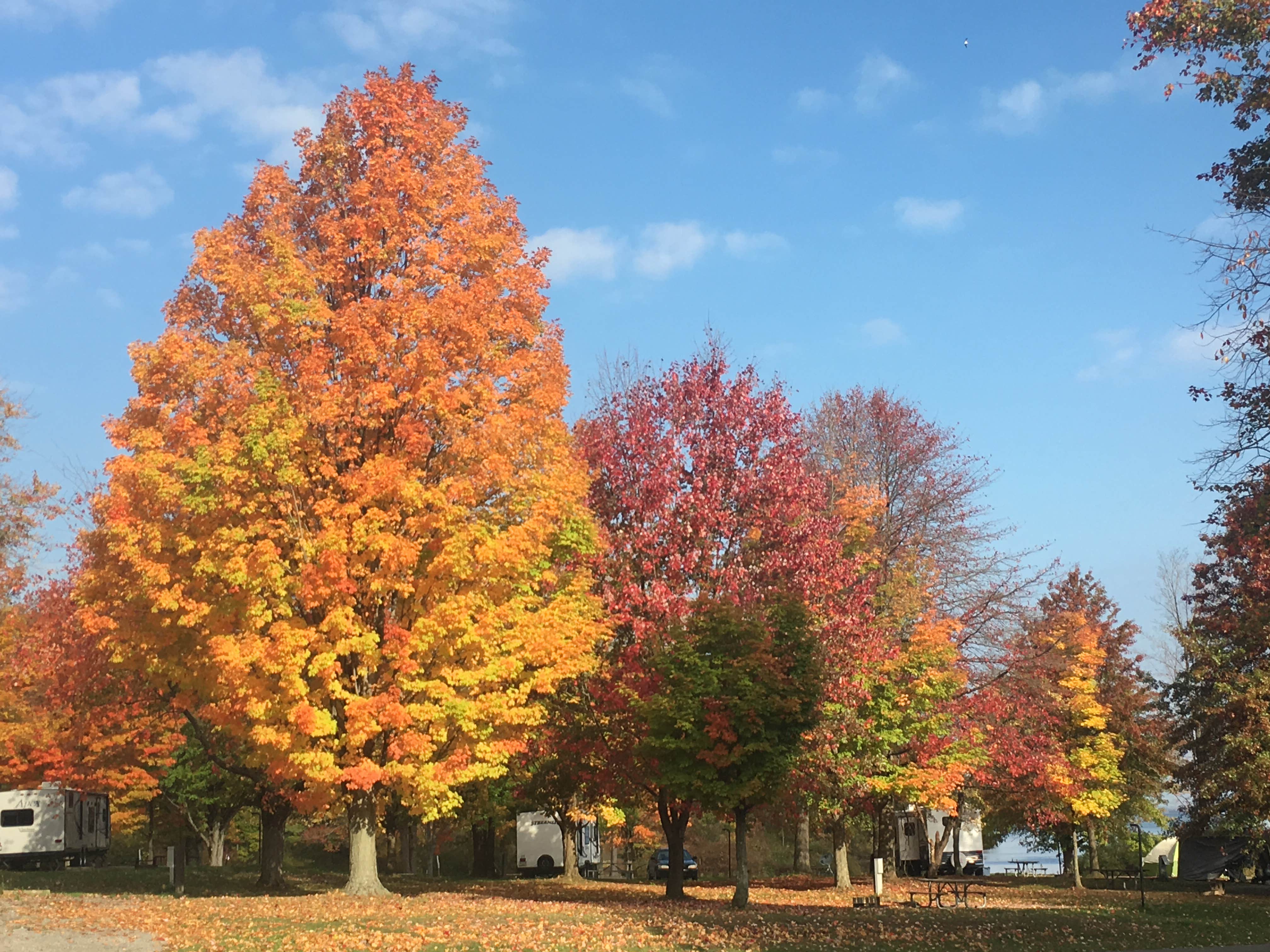 Camper submitted image from Pymatuning State Park Campground - 5