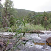 Review photo of CanyonSide Campground by Justin and Samantha W., July 21, 2020