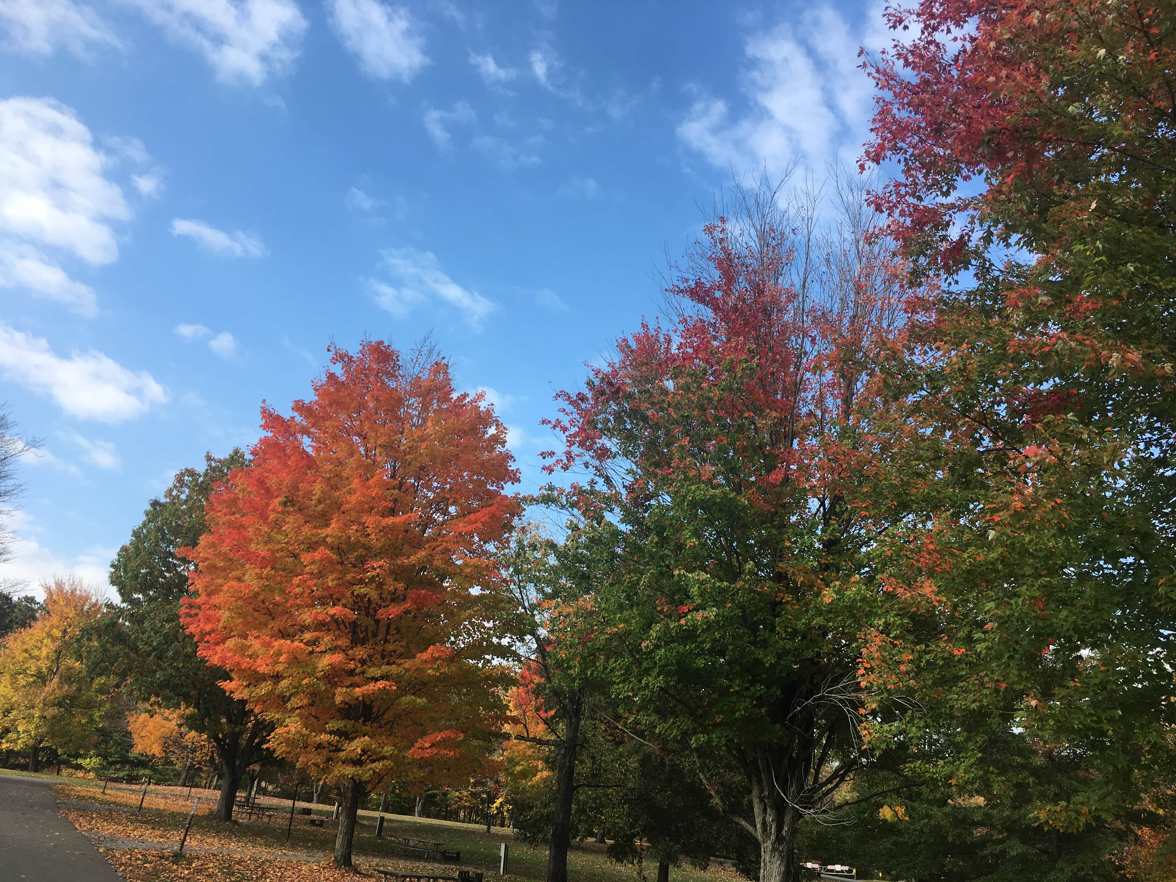 Camper submitted image from Pymatuning State Park Campground - 2