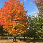 Review photo of Pymatuning State Park Campground by Ben R., March 18, 2018